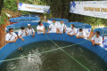 jmi-gelar-pelatihan-dan-usaha-ikan-nila_20210426_165359.jpg