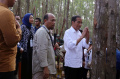 jokowi-tinjau-lokasi-pembangunan-miniatur-hutan-hujan-tropis-nus_20231221_222701.jpg