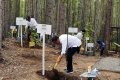 jokowi-tinjau-lokasi-pembangunan-miniatur-hutan-hujan-tropis-nus_20231221_222744.jpg