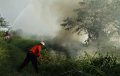 Jumlah Titik Panas Meningkat di Riau