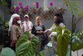 kafe-flona-berkonsep-kebun-tanaman-hias-indonesia_20221105_211705.jpg