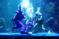 Kampanye Selamatkan Lautan Lewat Rabbit Underwater Show
