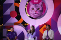 kampanye-serukan-pentingnya-nutrisi-seimbang-pada-kucing_20240709_223353.jpg