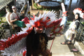karyawan-cordia-hotel-agustusan-fashion-show-busana-daur-ulang_20240827_211642.jpg