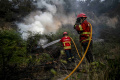 Kebakaran Hutan Landa Eropa Imbas Gelombang Panas