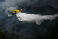 kebakaran-hutan-landa-eropa-imbas-gelombang-panas_20220720_112841.jpg