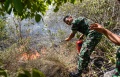 Kebakaran Landa Hutan Aceh