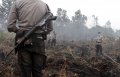 Kebakaran Lahan Kembali Terjang Pekanbaru