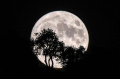 keindahan-blue-moon-di-berbagai-negara_20230831_212211.jpg