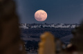 keindahan-blue-moon-di-berbagai-negara_20230831_212355.jpg