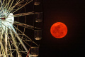 keindahan-blue-moon-di-berbagai-negara_20230831_212944.jpg