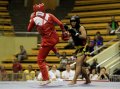 Kejuaraan Dunia Wushu Sanda