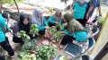 Kelompok Wanita Tani Kampung Mancing Panen Sayur Organik