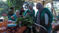 Kelompok Wanita Tani Kampung Mancing Panen Sayur Organik