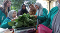 Kelompok Wanita Tani Kampung Mancing Panen Sayur Organik