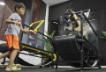 Ketika Anjing Berlatih di Pusat Kebugaran di Abu Dhabi
