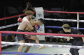 kick-boxing-mixed-martial-arts-mma-indonesia-vs-irlandia_20230919_072708.jpg