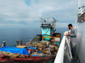 kn-belut-laut-406-bakamla-ri-tangkap-kii-di-belawan_20220210_141119.jpg