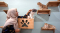 Koleksi Kucing Desainer Busana Lia Afif
