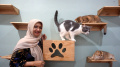 Koleksi Kucing Desainer Busana Lia Afif