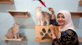 Koleksi Kucing Desainer Busana Lia Afif