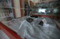 Koleksi Museum Balaputra Dewa Palembang