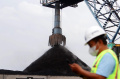 Komersialisasi Bauran Biomassa Dengan Program Co-Firing