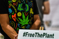 Konferensi Ganja dan Psikedelik di Miami