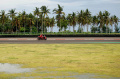 Kualifikasi MotoGP Mandalika 2022