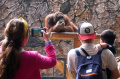Libur Cuti Bersama Bandung Zoo Ramai Pengunjung Libur Cuti Bersama Bandung Zoo Ramai Pengunjung
