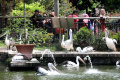 Libur Lebaran di Taman Margasatwa Ragunan
