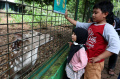 Libur Lebaran di Taman Margasatwa Ragunan