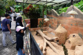 liburan-tahun-baru-di-eco-green-park_20221231_173053.jpg