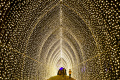 Lightscape di LA County Arboretum