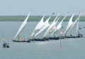 lomba-perahu-tradisional-hut-ke-79-kemerdekaan-ri_20240820_164358.jpg