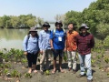 Managing Director 3M Hadiri Penanaman Pohon Bakau di Pesisir