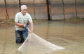 Mancing Ikan di Jaletreng Riverpark