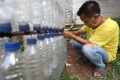 manfaatkan-sampah-botol-plastik-menjadi-tempat-sampah_20210902_193340.jpg