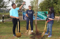 Manulife Volunteer Day Bentuk Pelestarian Lingkungan