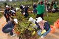 Manulife Volunteer Day Bentuk Pelestarian Lingkungan