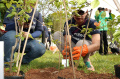 Manulife Volunteer Day Bentuk Pelestarian Lingkungan
