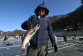 melihat-festival-memancing-di-sungai-beku-hwacheon_20240109_134209.jpg