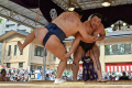 Melihat Jawara Sumo Bertanding di Turnamen Honozumo