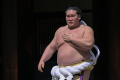 Melihat Jawara Sumo Bertanding di Turnamen Honozumo