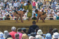 Melihat Jawara Sumo Bertanding di Turnamen Honozumo