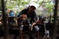 Melihat Kebun Budi Daya Anggur di Jakarta