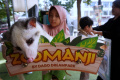 melihat-keunikan-satwa-di-zoomanji-goes-out_20240417_193335.jpg