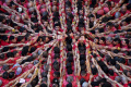 Melihat Menara Manusia pada Kompetisi Castells di Spanyol