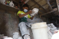 Melihat Pembuatan Celengan Berbahan Gypsum