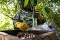 melihat-peternakan-lebah-madu-di-blang-bintang_20220915_083906.jpg